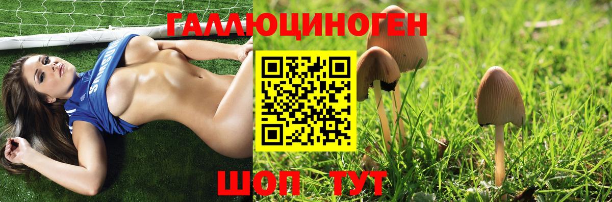 Псилоцибиновые грибы Magic Shrooms  Вход с VPN  Чистополь 