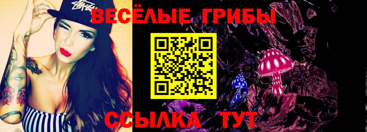 Псилоцибиновые грибы мицелий Чистополь
