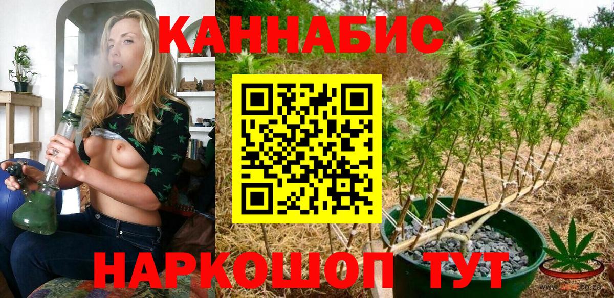 Чистополь  Канабис OG Kush  Бошки Шишки планчик  Вход с VPN  Бошки Шишки VHQ  Каннабис индика 